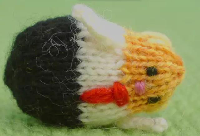 knittrump.jpg