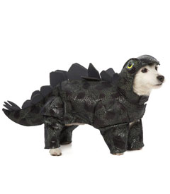 dogosaurus.jpg