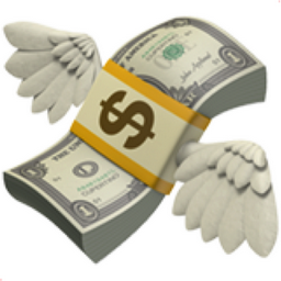 money-with-wings.png